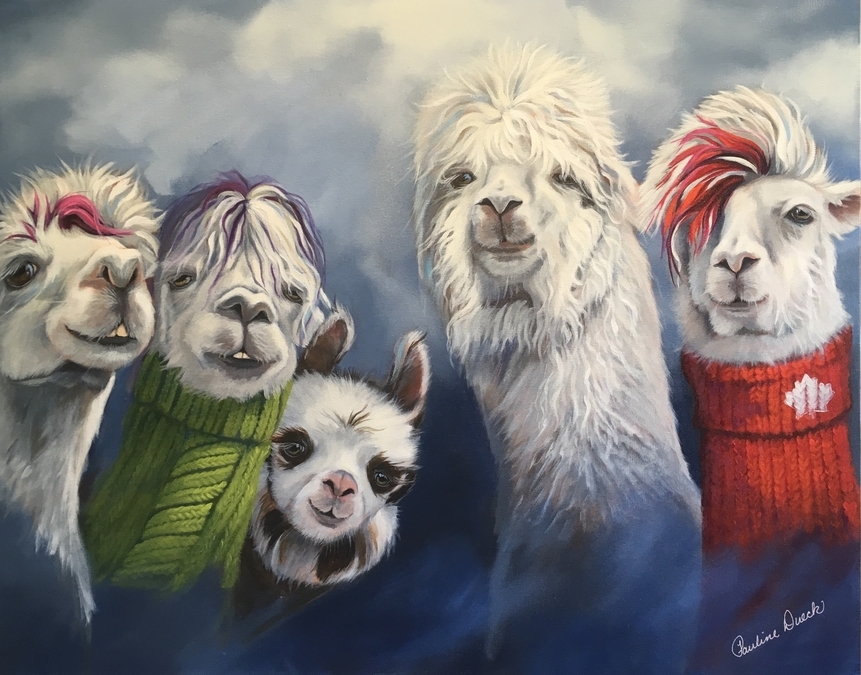 Alpaca Pac