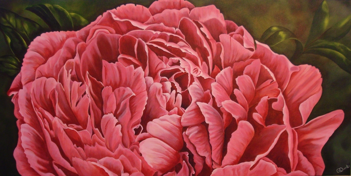 Bodacious (Peony)