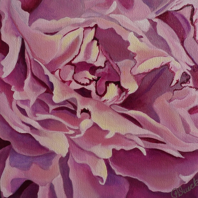 Peony Macro 2